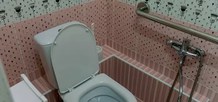 Meeting Diverse Needs With Accessible Restroom Solutions in Jenison, MI