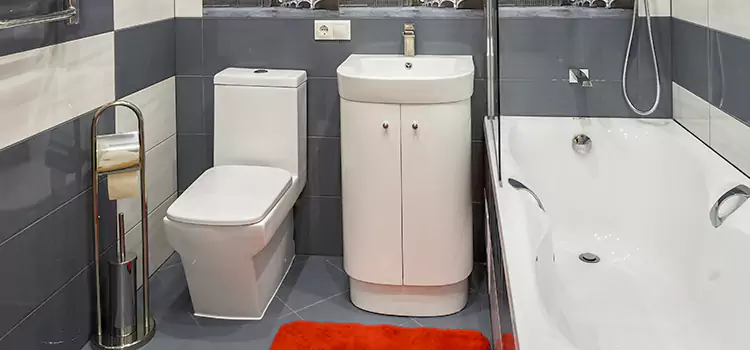 Hansgrohe Shaving Mirror Jenison