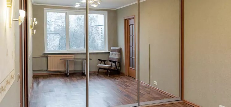 Mirror Closet Door Roller Replacement Jenison