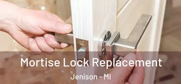 Mortise Lock Replacement Jenison - MI